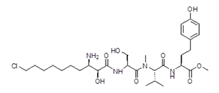 Oscillaginin A Methyl Ester